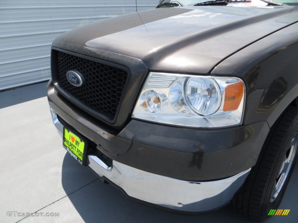 2005 F150 XLT SuperCrew - Dark Stone Metallic / Tan photo #10