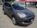 2013 Sterling Gray Metallic Ford Escape SEL 2.0L EcoBoost  photo #2