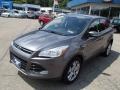 2013 Sterling Gray Metallic Ford Escape SEL 2.0L EcoBoost  photo #4