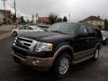 2013 Green Gem Ford Expedition XLT 4x4  photo #1