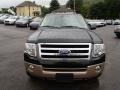 2013 Green Gem Ford Expedition XLT 4x4  photo #2