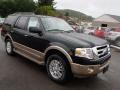 2013 Green Gem Ford Expedition XLT 4x4  photo #3