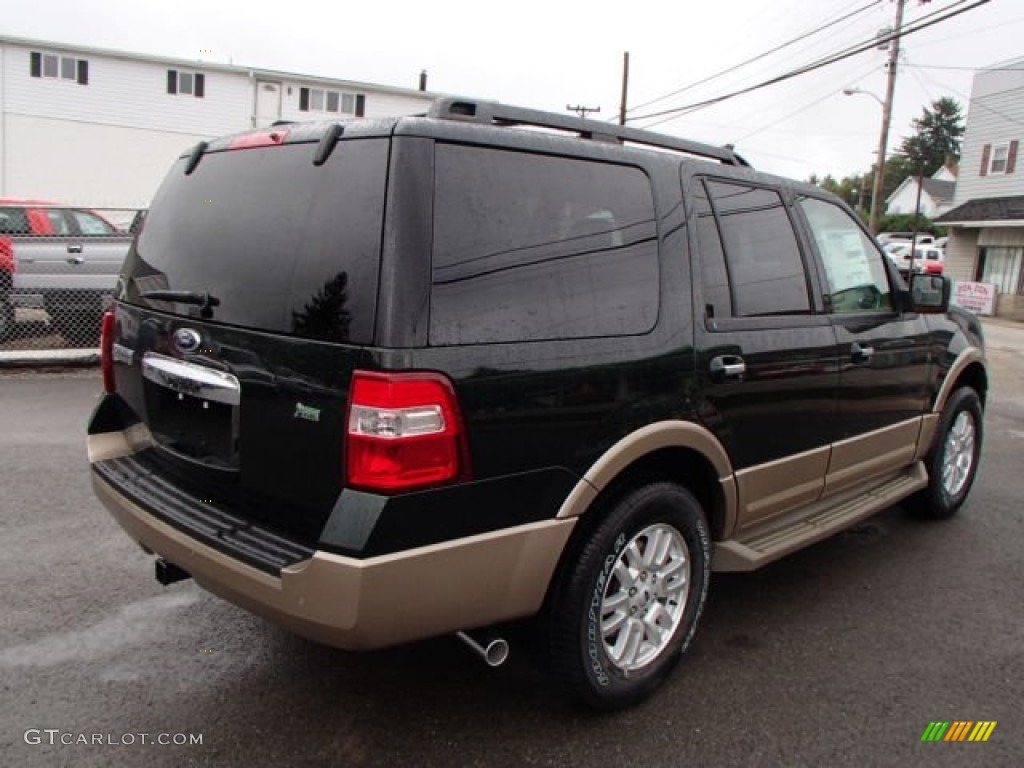 2013 Expedition XLT 4x4 - Green Gem / Stone photo #5