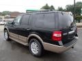 2013 Green Gem Ford Expedition XLT 4x4  photo #7