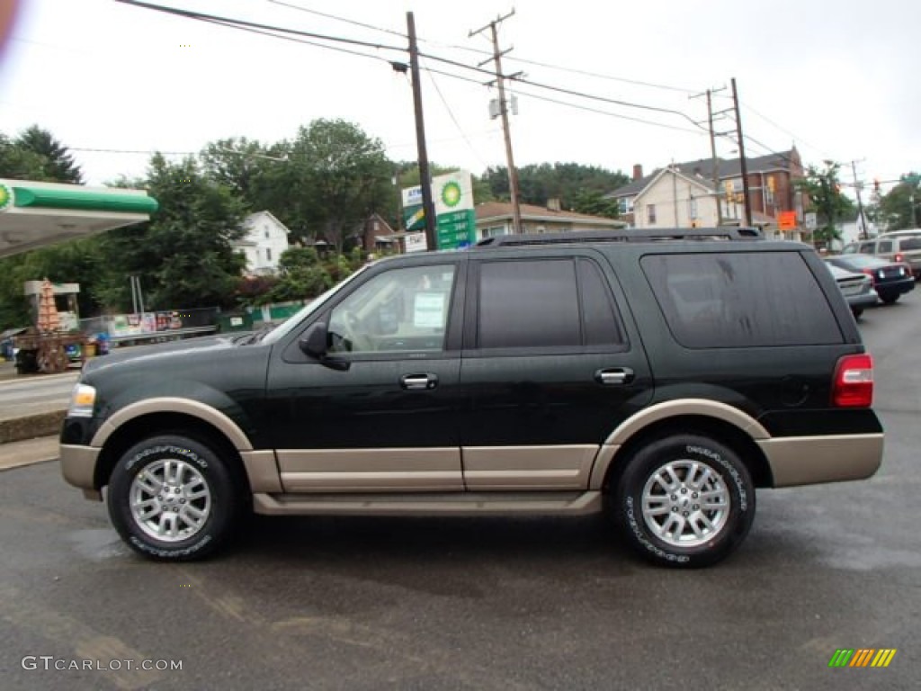 2013 Expedition XLT 4x4 - Green Gem / Stone photo #8