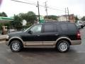 2013 Green Gem Ford Expedition XLT 4x4  photo #8