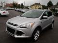 2014 Ingot Silver Ford Escape Titanium 1.6L EcoBoost 4WD  photo #1