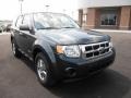 2008 Black Pearl Slate Metallic Ford Escape XLS  photo #2