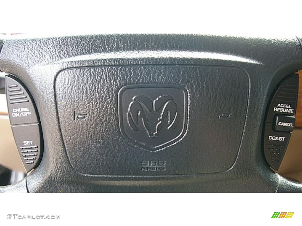 2003 Ram Van 1500 Passenger Conversion - Black / Sandstone photo #5