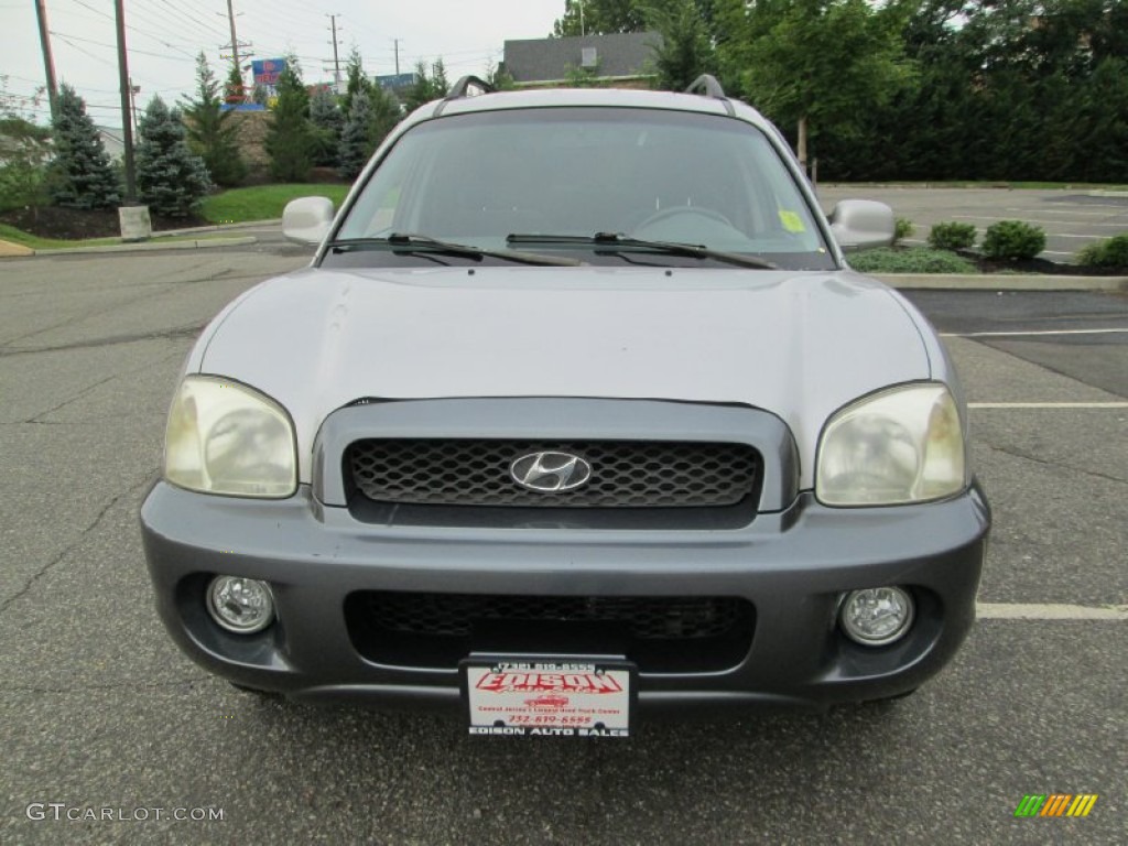 2004 Santa Fe GLS 4WD - Pewter / Gray photo #12