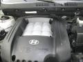 2004 Pewter Hyundai Santa Fe GLS 4WD  photo #29