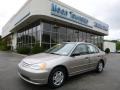Titanium Metallic - Civic LX Sedan Photo No. 1