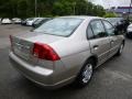 Titanium Metallic - Civic LX Sedan Photo No. 5