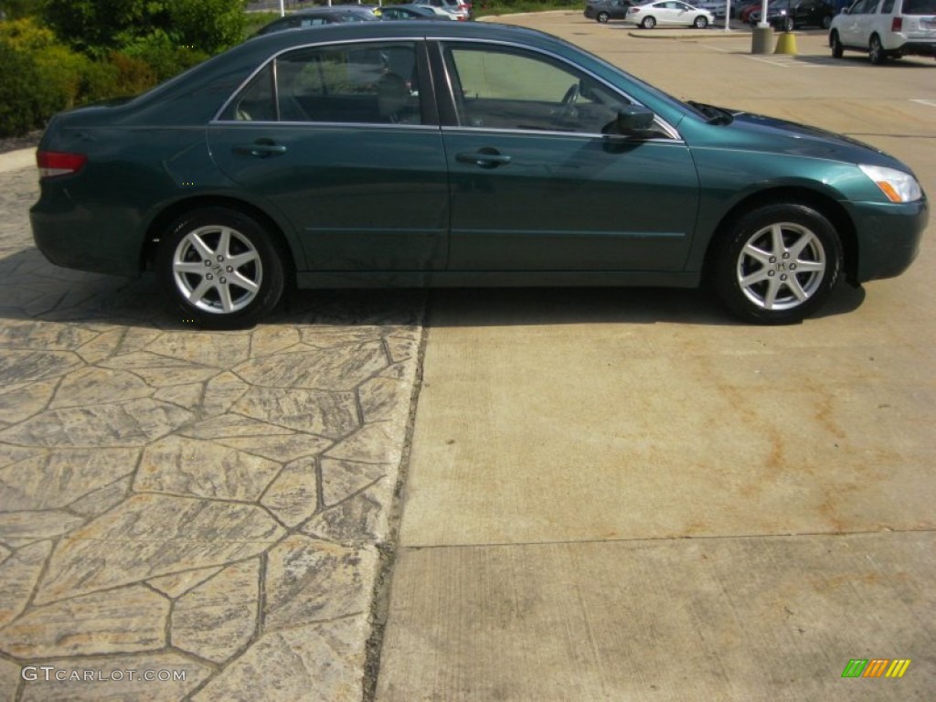2003 Accord EX V6 Sedan - Noble Green Pearl / Ivory photo #4