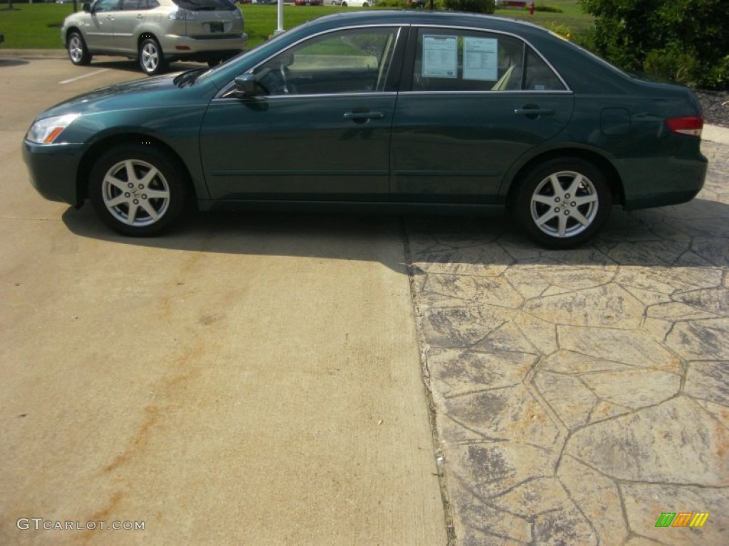2003 Accord EX V6 Sedan - Noble Green Pearl / Ivory photo #8