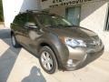 Pyrite Mica - RAV4 XLE AWD Photo No. 1