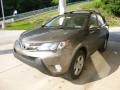 Pyrite Mica - RAV4 XLE AWD Photo No. 6