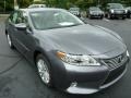 Nebula Gray Pearl - ES 350 Photo No. 6