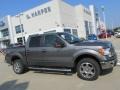 Sterling Grey Metallic - F150 XLT SuperCrew 4x4 Photo No. 2