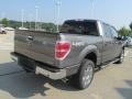 Sterling Grey Metallic - F150 XLT SuperCrew 4x4 Photo No. 9