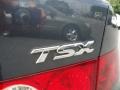 Carbon Gray Pearl - TSX Sedan Photo No. 20