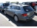 Platinum Grey Metallic - Jetta TDI SportWagen Photo No. 3