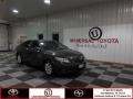 Magnetic Gray Metallic 2009 Toyota Camry XLE