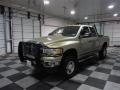 Light Almond Pearl Metallic - Ram 2500 SLT Quad Cab 4x4 Photo No. 3