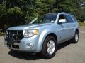 2008 Light Ice Blue Ford Escape Hybrid 4WD  photo #1