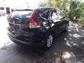 Crystal Black Pearl - CR-V EX-L Photo No. 1