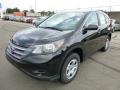 2013 Crystal Black Pearl Honda CR-V LX AWD  photo #7