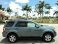 2010 Steel Blue Metallic Ford Escape Limited V6  photo #5