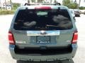 2010 Steel Blue Metallic Ford Escape Limited V6  photo #7