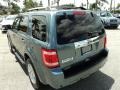 2010 Steel Blue Metallic Ford Escape Limited V6  photo #9