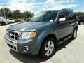 2010 Steel Blue Metallic Ford Escape Limited V6  photo #13