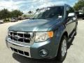 2010 Steel Blue Metallic Ford Escape Limited V6  photo #14