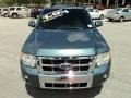 2010 Steel Blue Metallic Ford Escape Limited V6  photo #16