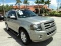 Vapor Silver Metallic 2008 Ford Expedition Limited