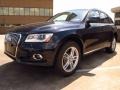 Moonlight Blue Metallic - Q5 3.0 TDI quattro Photo No. 5