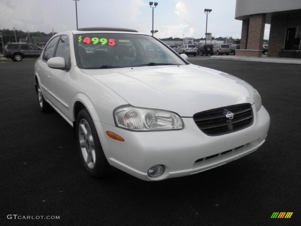 2000 Maxima SE - Icelandic Pearl / Frost photo #2