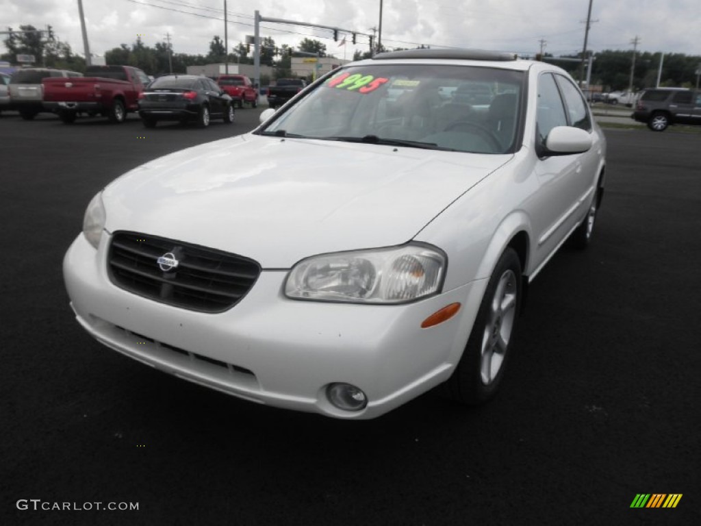 2000 Maxima SE - Icelandic Pearl / Frost photo #3