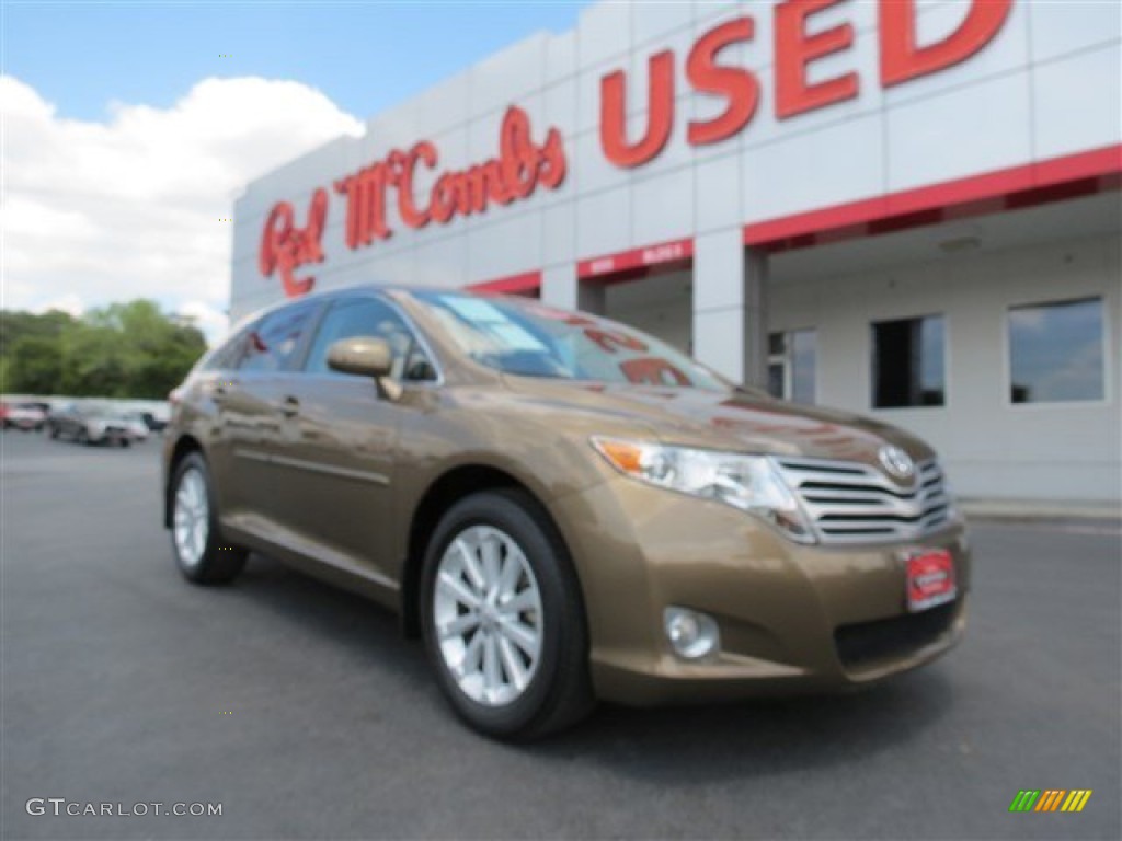 2010 Venza I4 - Golden Umber Mica / Ivory photo #1