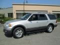 Silver Birch Metallic 2006 Ford Expedition XLT 4x4