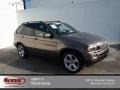 Platinum Bronze Metallic 2007 BMW X5 3.0si