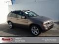 2007 Platinum Bronze Metallic BMW X5 3.0si  photo #1