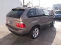 2007 Platinum Bronze Metallic BMW X5 3.0si  photo #9