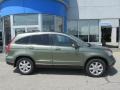 2007 Green Tea Metallic Honda CR-V EX-L 4WD  photo #2