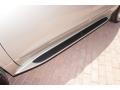 Champagne Silver Metallic - Enclave Leather Photo No. 29