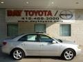 Steel Gray - Sonata SE V6 Photo No. 1