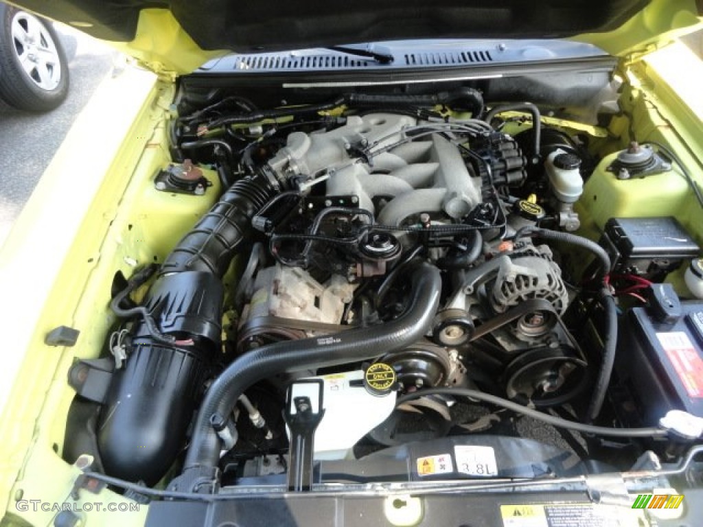 2003 Mustang V6 Coupe - Zinc Yellow / Dark Charcoal photo #11